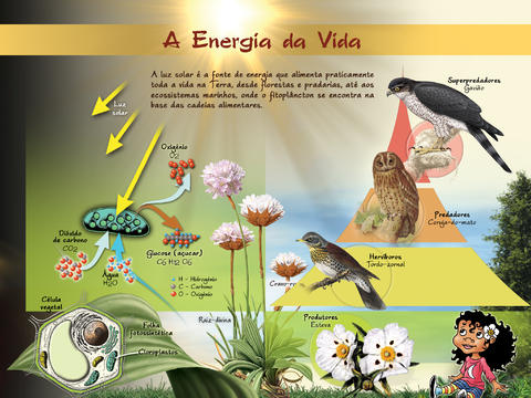 Ciencia I y II ciclo, Costa Rica: El Sol, fuente de luz y calor. Objetivo  I.B-4