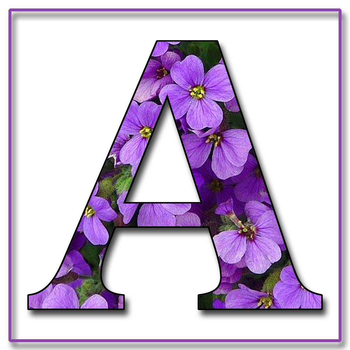 GRANNY ENCHANTED'S BLOG: "Purple Flowers" Free Scrapbook Alphabet