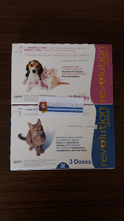 REVOLUTION OBAT KUTU KUCING & ANJING ~ Rayrainbow Petshop