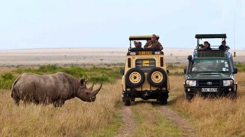 Los 10 mejores Parques y más famosos para realizar Safari en el Mundo