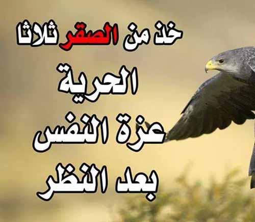 pictures-self-honor-8.jpg