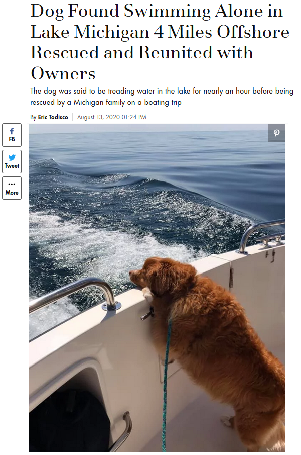 TECHNIC AUTO CAR ศัพท์ข่าวรายวัน 14August2020