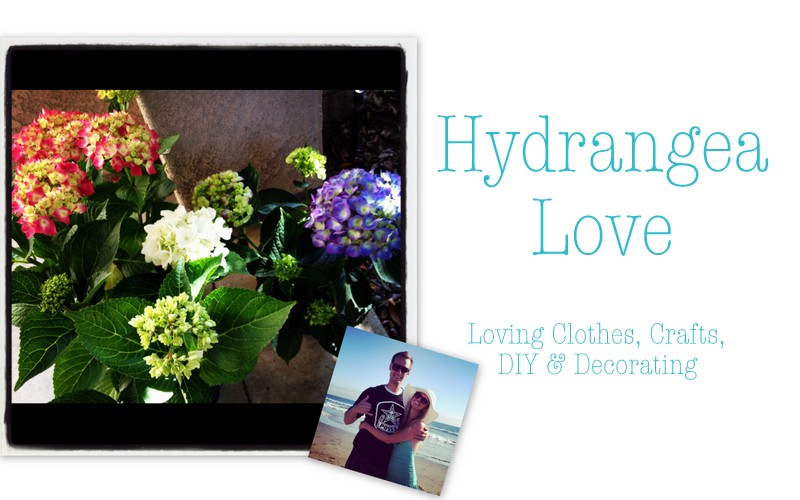 Hydrangea Love
