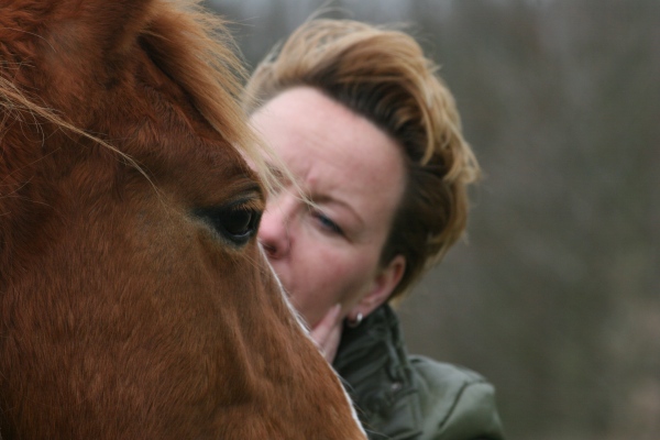 Het beste paard van stal