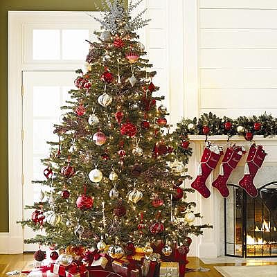 Decorated Christmas Trees Picture Gallary | Kids Online World Blog