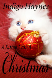 Indigo's Christmas Kitten Story!