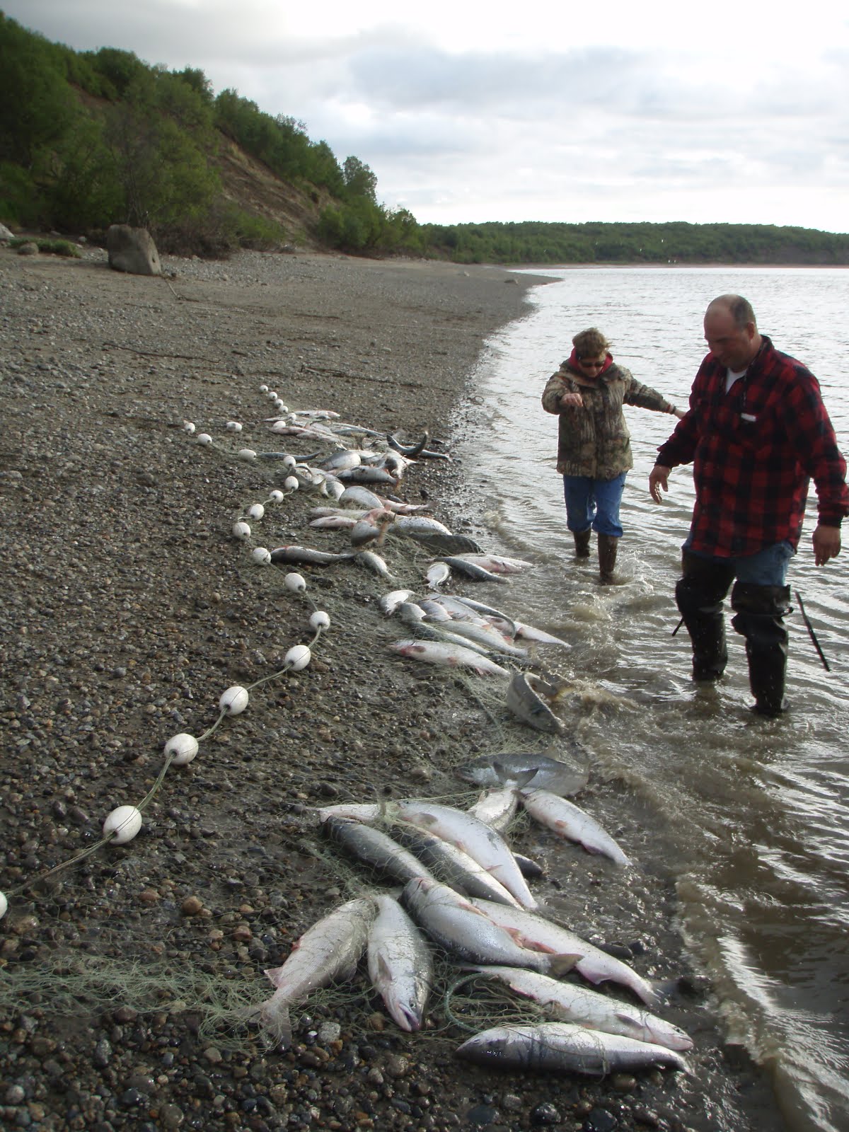 Naknek River Alaskan Experience Guide Service Living In The Sticks