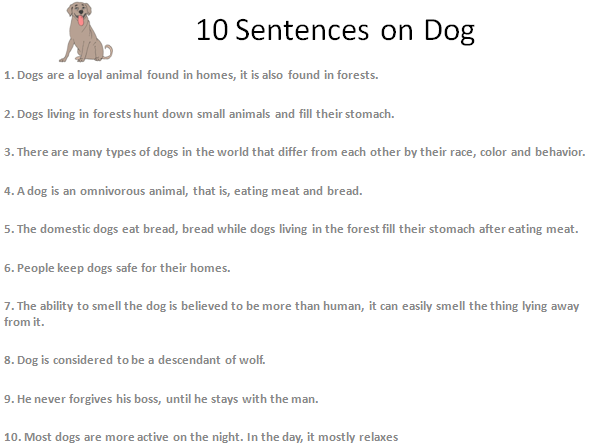 10 lines on dog in Hindi