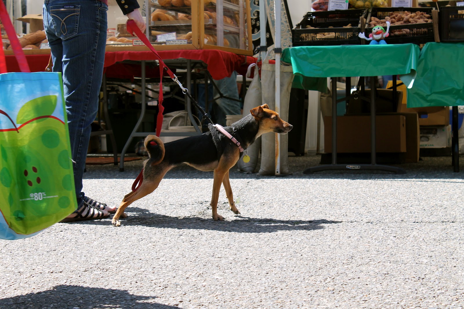 Crown Hill Farmer's Market Dogs