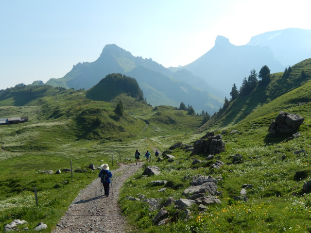 Freys in the UK: Switzerland: a Week in Wengen Hiking the Bernese Oberland