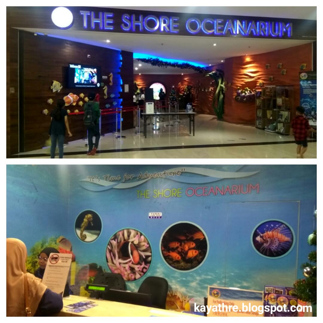 oceanarium dinner buffet price oceanarium dinner buffet price