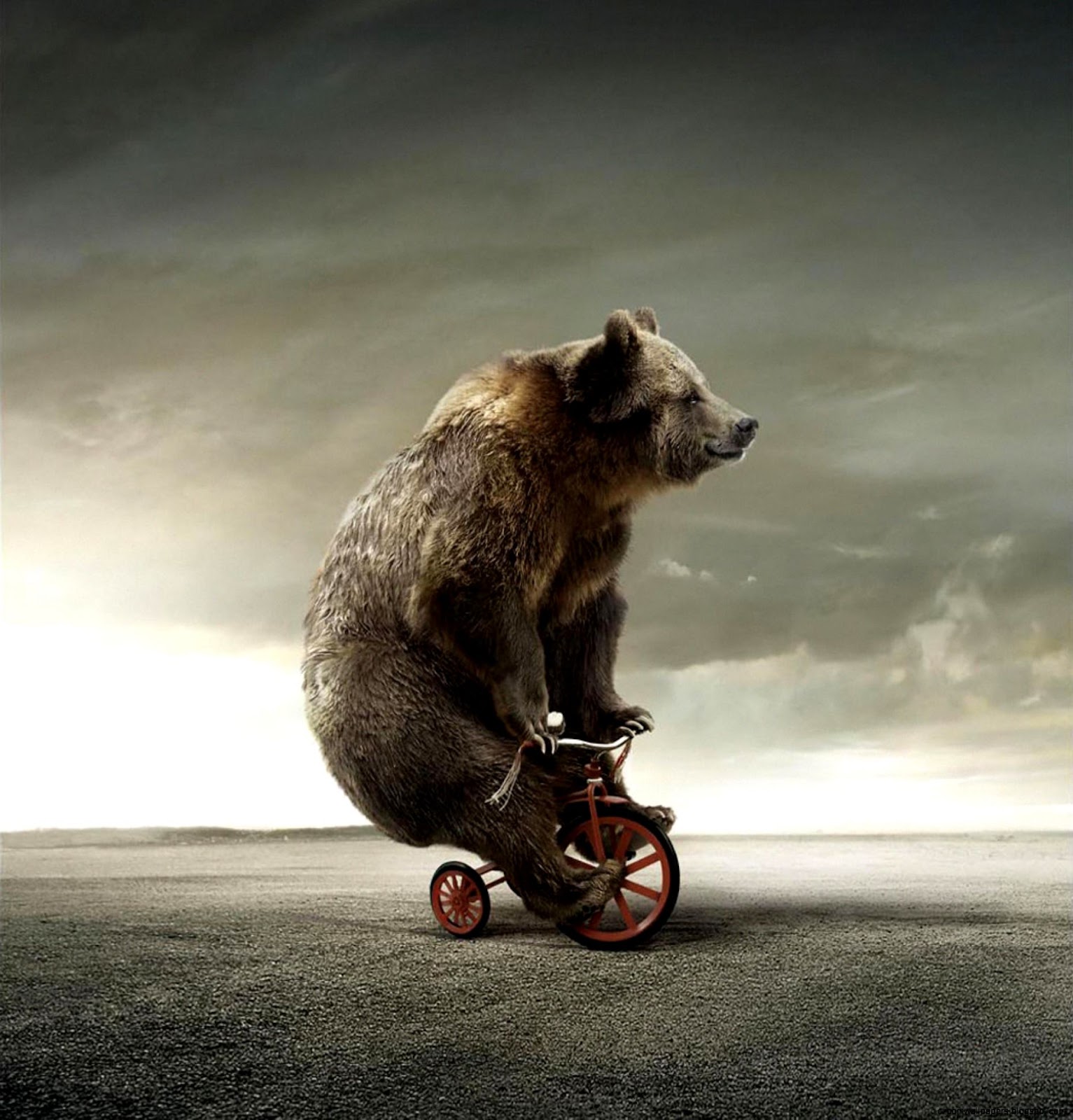 Circus Bear On Bike
