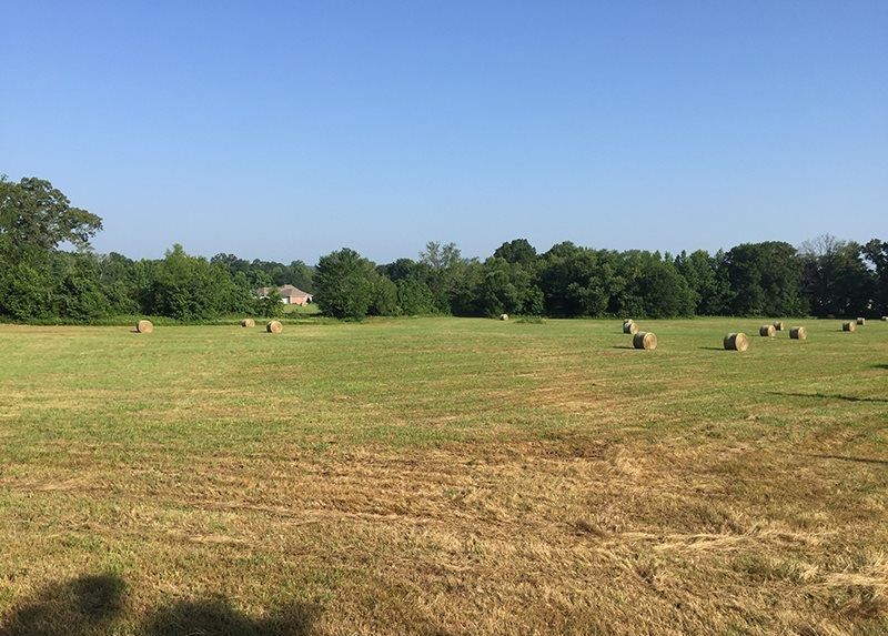 ERA TEAM Real Estate's Central AR Real Estate Blog 49 Linder Road