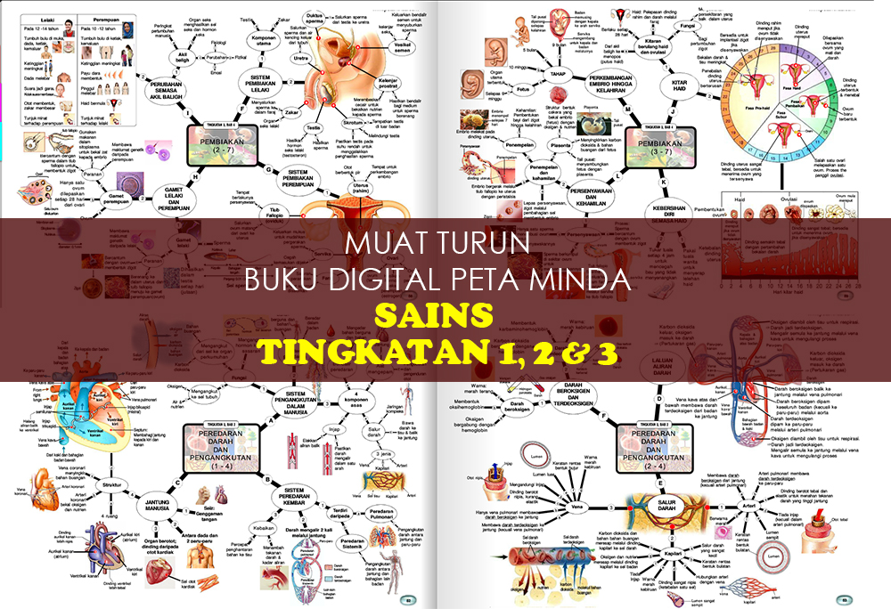 Muat Turun Buku Digital Peta Minda Sains Tingkatan 1 - 3 (PDF