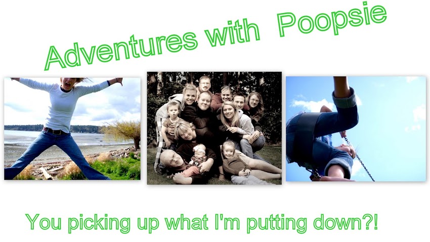 Adventures With Poopsie