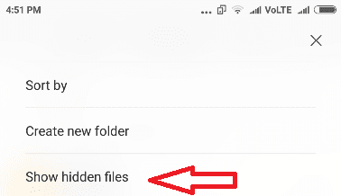 show hidden files
