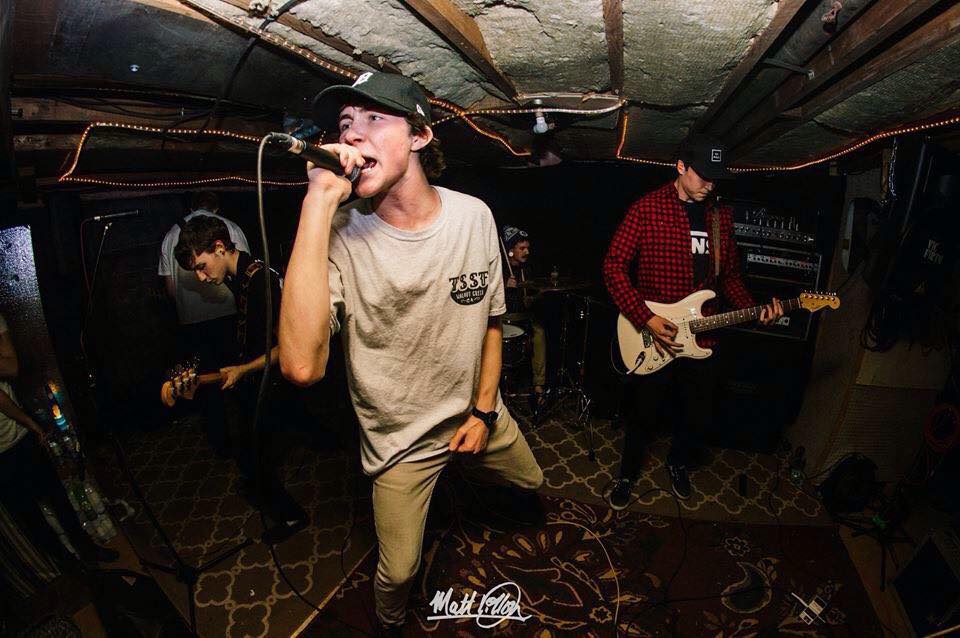 Sophie's Floorboard Bearings