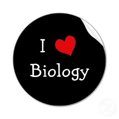 Pengertian Dan Jenis Kambium Lengkap