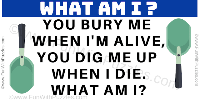 What am I? | You bury me when I'm alive, You dig me up when I die.... What am I?