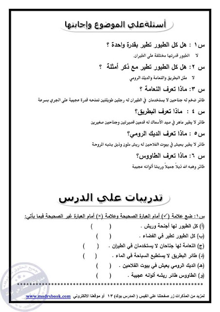 مذكرة لغة عربية الصف الرابع الابتدائي الترم الثاني
