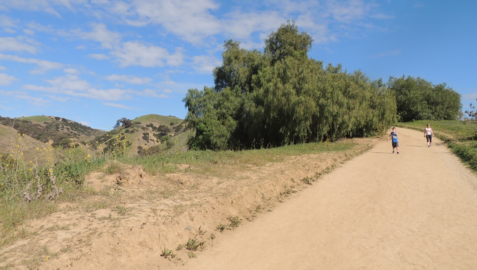 1000 Hikes in 1000 Days Day 838 Hellman Park Trail Peppergrass