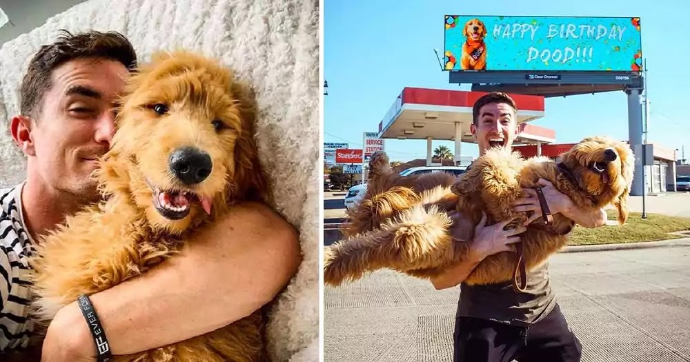Guy Rented A Billboard To Share His Dog's Birthday With The World
