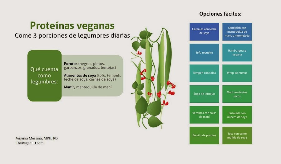OPCIONES VEGETARIANAS