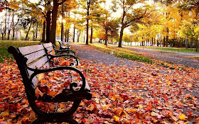 HD Wallpapers: Autumn HD Wallpapers