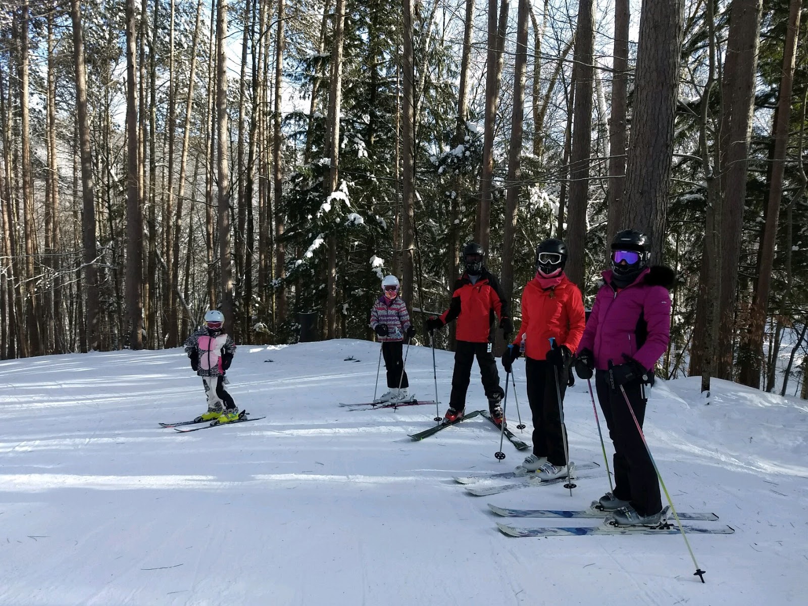 Group of skiers near trees