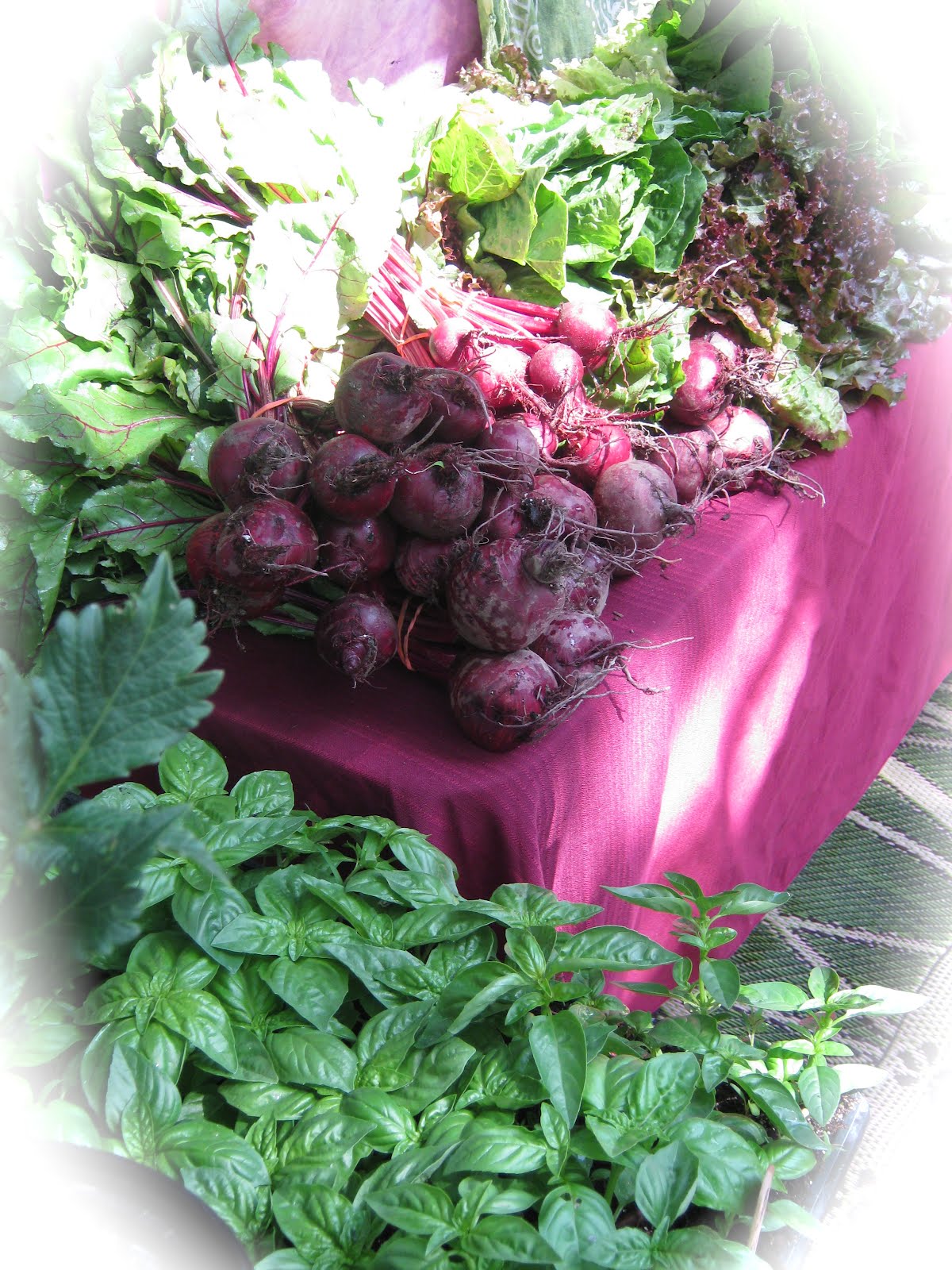 Corning NY Step by Step The Farmers' Market