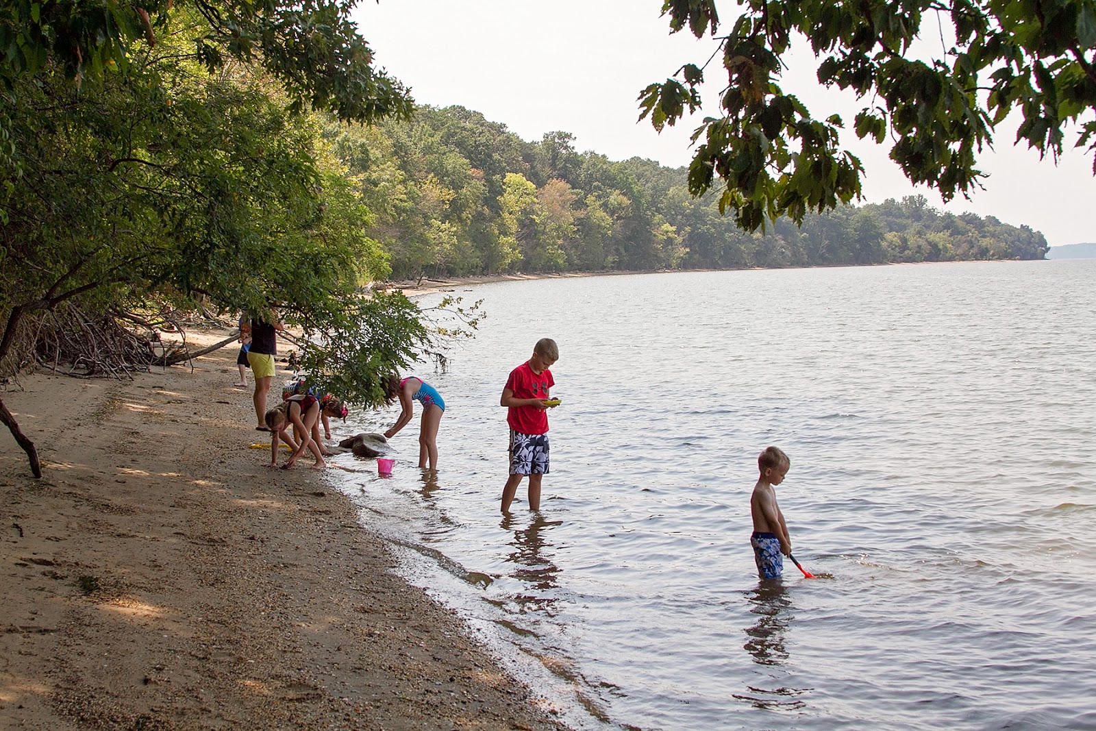 The Cullinan Family Fossil Hunting at Purse State Park