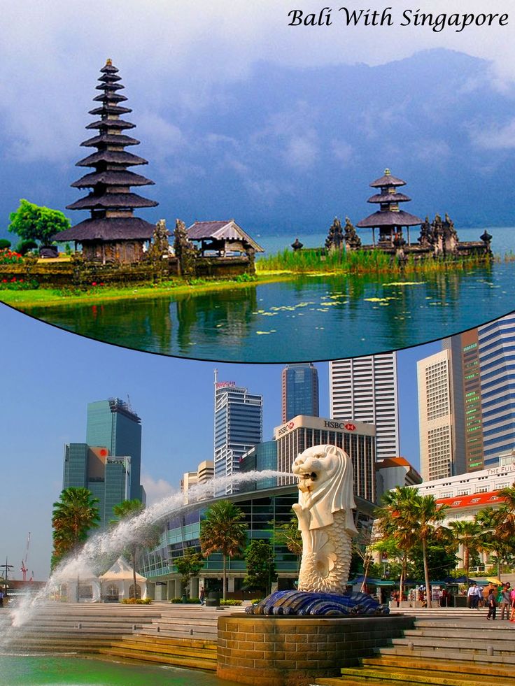 Best Singapore and Bali packages from Delhi