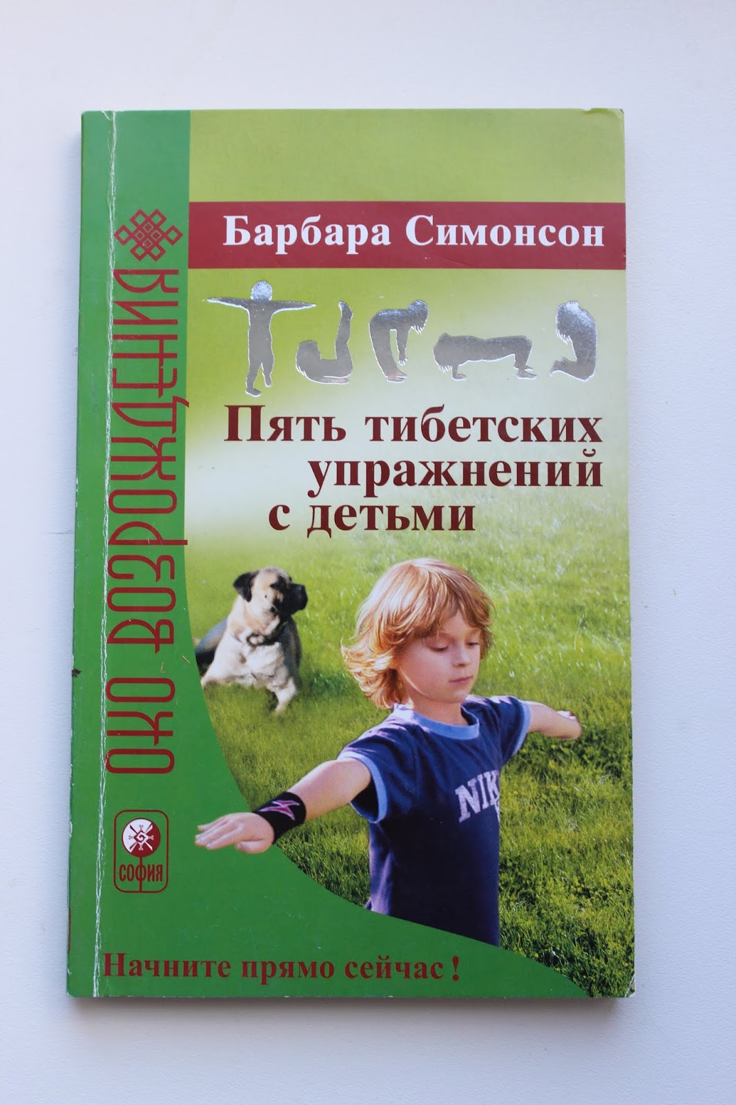 Книга 5 клубов. Пять тибетских упражнений книга. Тренировка тибетских детей. Книги для 5 лет. Пять книг.