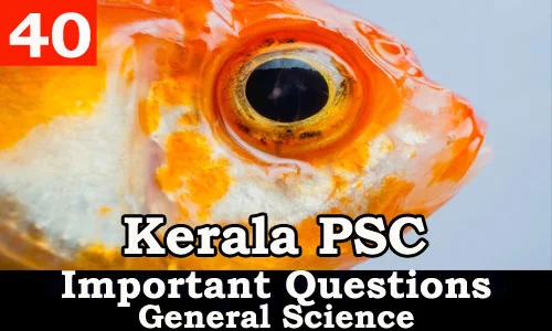Kerala PSC - Important and Expected General Science Questions - 40