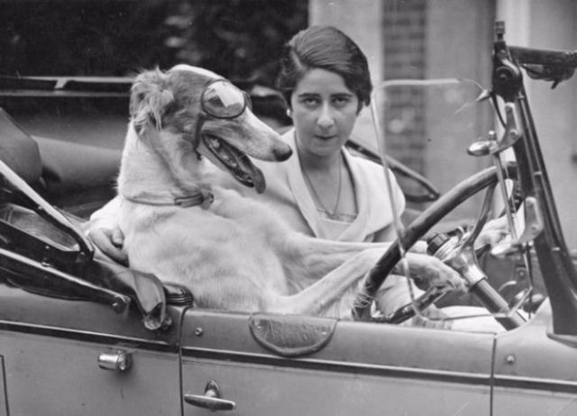 Vintage Photos of People with their pets