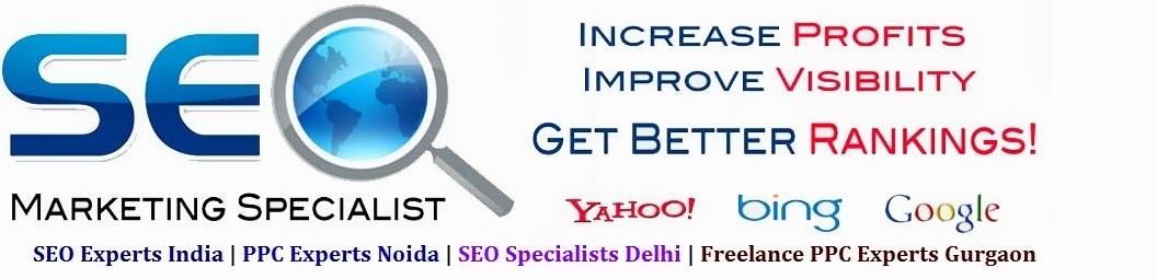 SEO Experts India | PPC Experts Noida | SEO Specialists Delhi