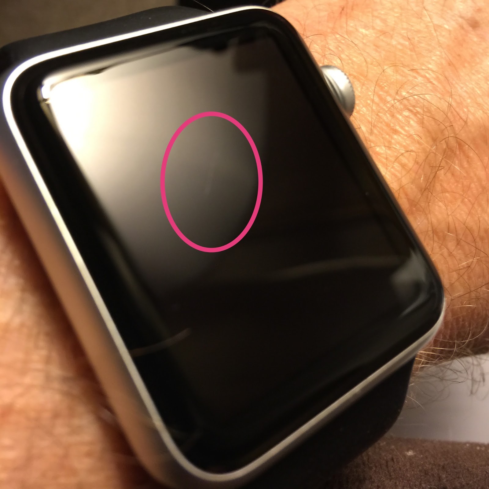 The Macintosh Biblioblog One Month With The Apple Watch