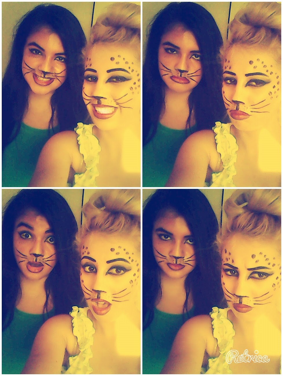 Kedi Makyajı / Cat Make Up
