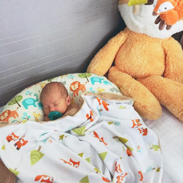 How To Have a Baby in a Studio Apartment. The girl who loved to