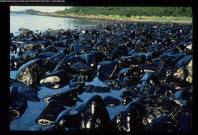 Exxon valdez oil spill damage per animal
