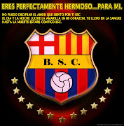 Afiche Escudo de Barcelona (fotos afiches barcelona sporting club guayaquil ecuador sur oscura )