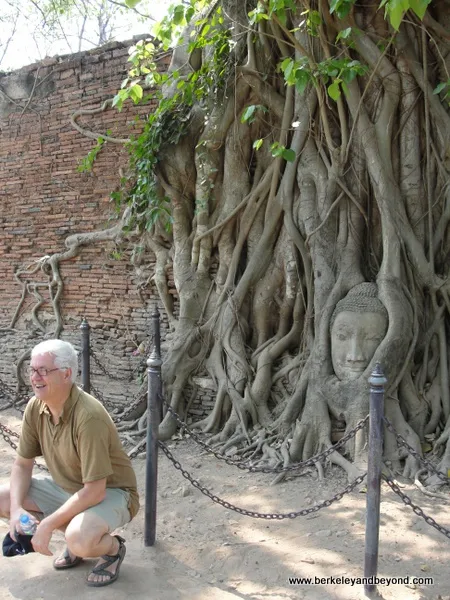 Strangled Buddha at Wat Phra Mahathat at Ayutthaya Historical Park in Thailand