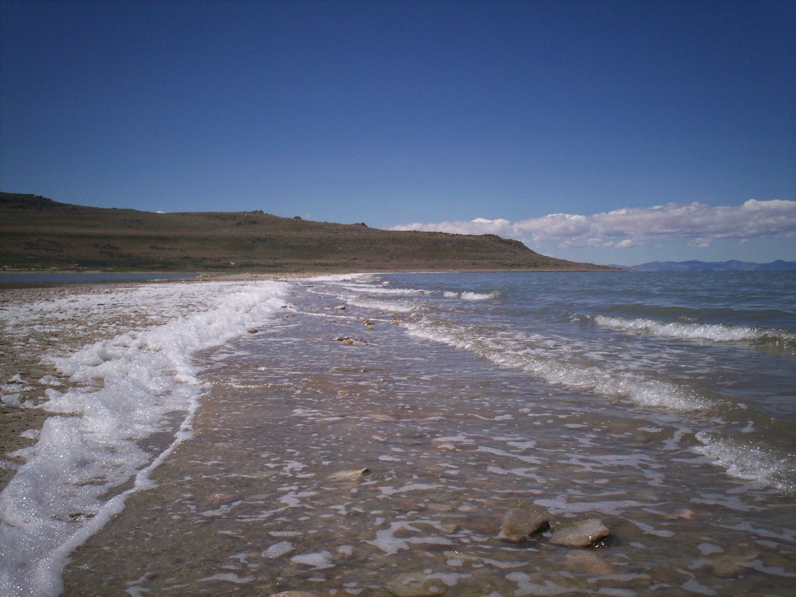 The Mystery Of Utah History The first pioneer swim in the Great Salt