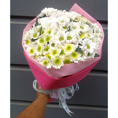 TOKO BUNGA GERBERA JEBRES, SOLO