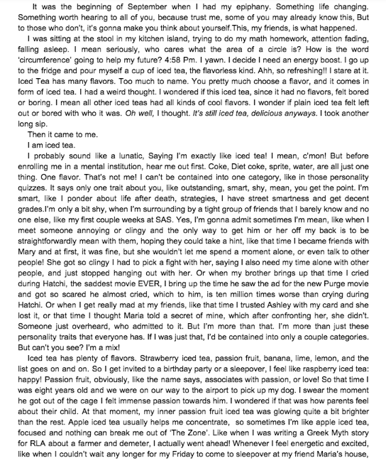 Conclusion paragraph for an essay picture