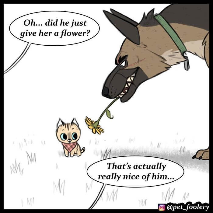 After Winning The Hearts Of Over 1,4M Followers, Pixie And Brutus Are Here With 6 More Adorable Comics After Winning The Hearts Of Over 1,4M Followers, Pixie And Brutus Are Here With 6 More Adorable Comics