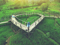 THE BRIDGE OF LOVE PRING WULUNG, EPIC DESTINATIONS IN PURBALINGGA THE BRIDGE OF LOVE PRING WULUNG, EPIC DESTINATIONS IN PURBALINGGA