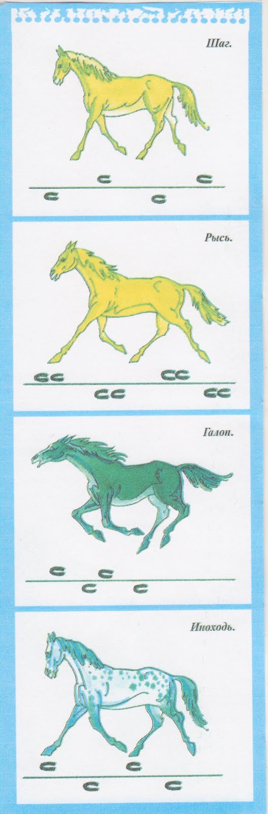 аллюр походка лошади. бег лошади аллюром. рысь аллюр лошади. шаг рысь галоп и иноходь. лошадь задания для детей.