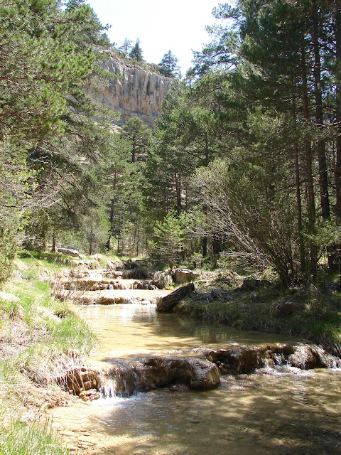 Barranco de las Umbrías