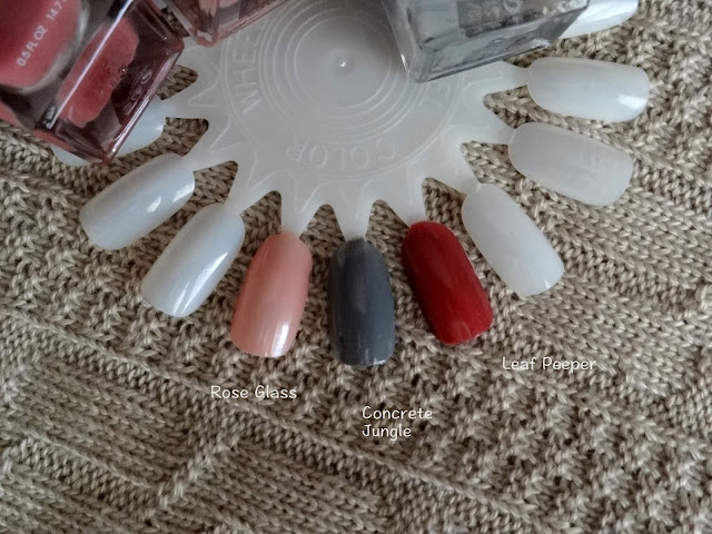 ally Hansen Complete Salon Manicure in Rose Glass, Leaf Peeper and Concrete Jungle  Swatches